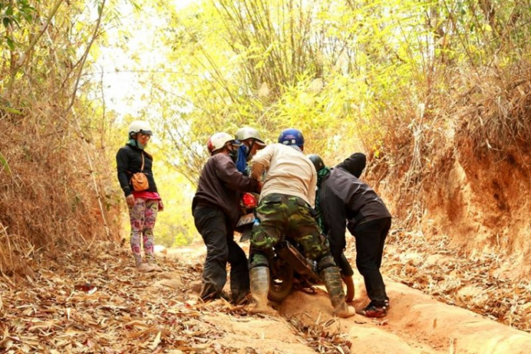 K'Tường khắc nghiệt rừng cao nguyên