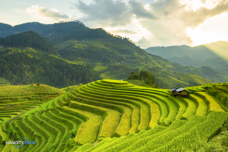 Trải nghiệm Tây Bắc mùa lúa chín 4 ngày