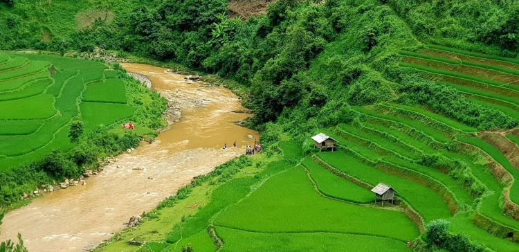 Trải nghiệm Tây Bắc mùa lúa chín 4 ngày