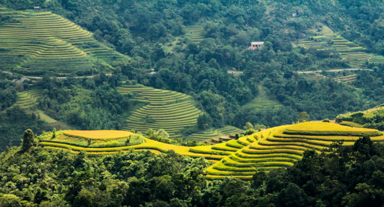 Trải nghiệm Tây Bắc mùa lúa chín 4 ngày