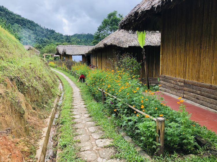 Trải nghiệm Tây Bắc mùa lúa chín 4 ngày