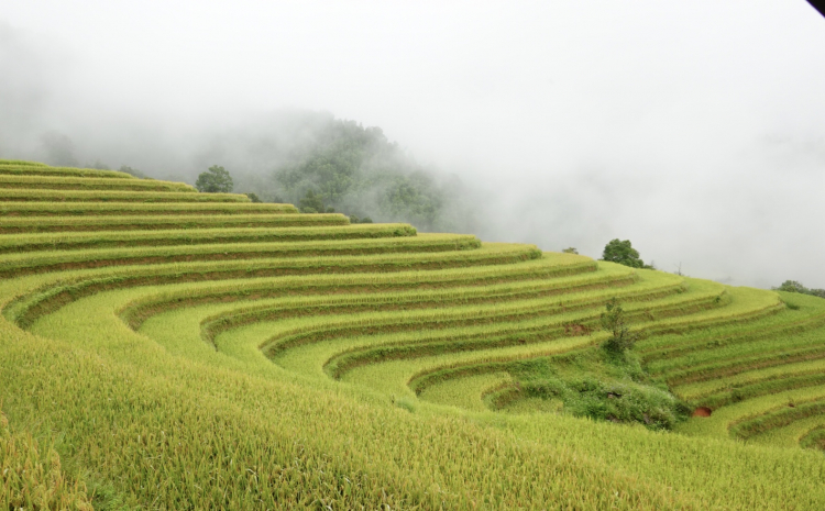 Trải nghiệm Tây Bắc mùa lúa chín 4 ngày