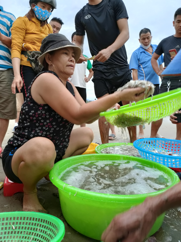 Xuyên Việt "Camping trên những mùa Vàng""