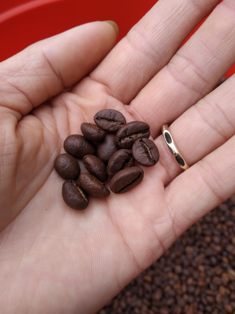 Mua cà phê hạt không tẩm hương, hóa