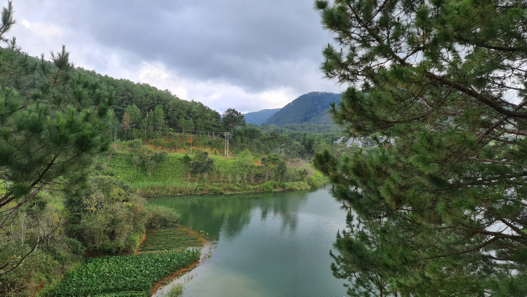 Lại hỏi về Đà Lạt