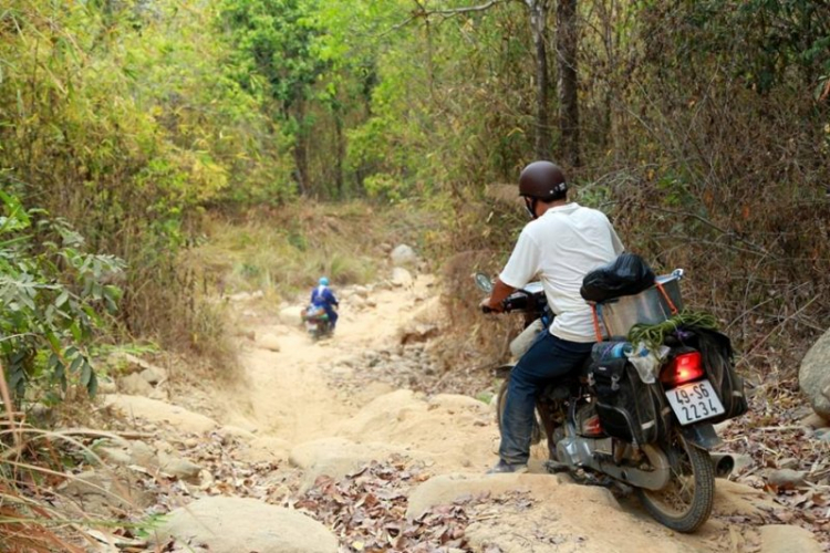 K'Tường khắc nghiệt rừng cao nguyên