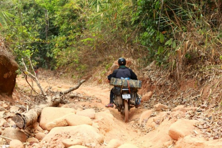 K'Tường khắc nghiệt rừng cao nguyên