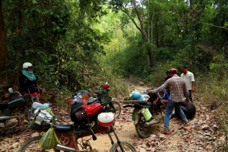 K'Tường khắc nghiệt rừng cao nguyên K'Tường khắc nghiệt rừng cao nguyên