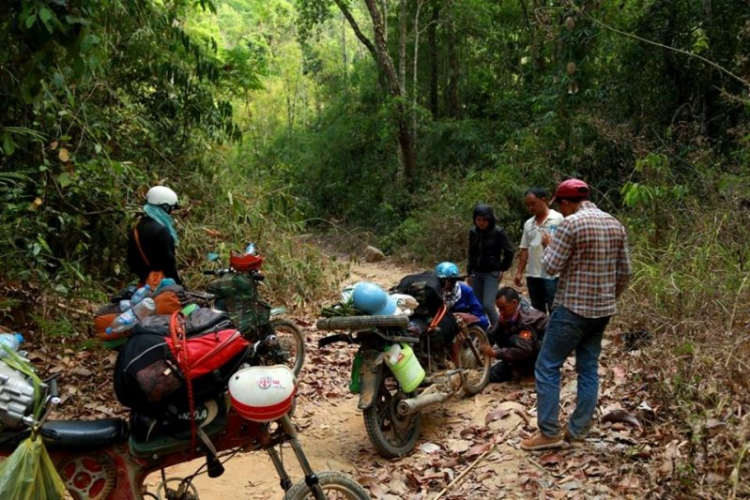 K'Tường khắc nghiệt rừng cao nguyên K'Tường khắc nghiệt rừng cao nguyên