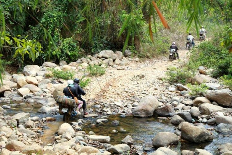 K'Tường khắc nghiệt rừng cao nguyên