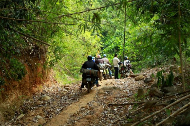 K'Tường khắc nghiệt rừng cao nguyên