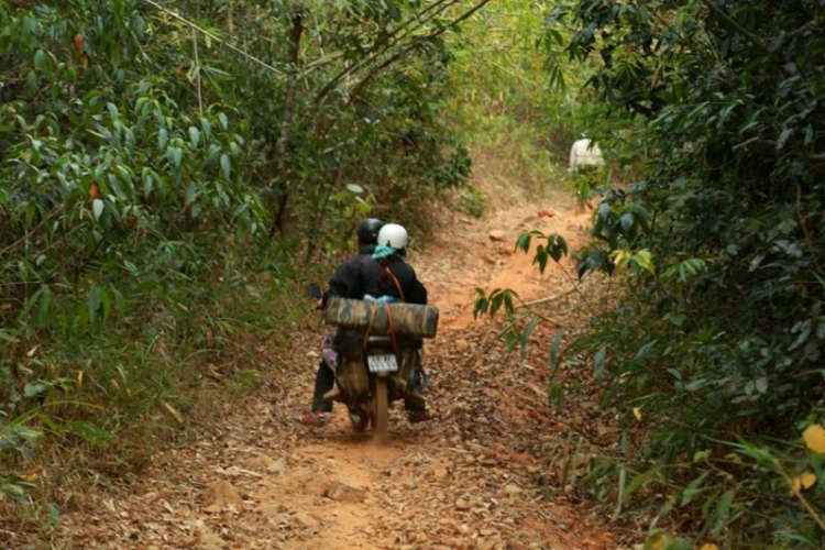 K'Tường khắc nghiệt rừng cao nguyên