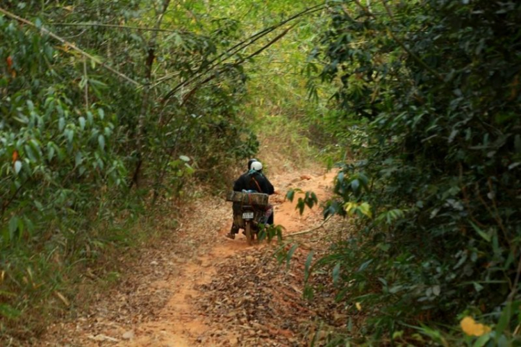 K'Tường khắc nghiệt rừng cao nguyên