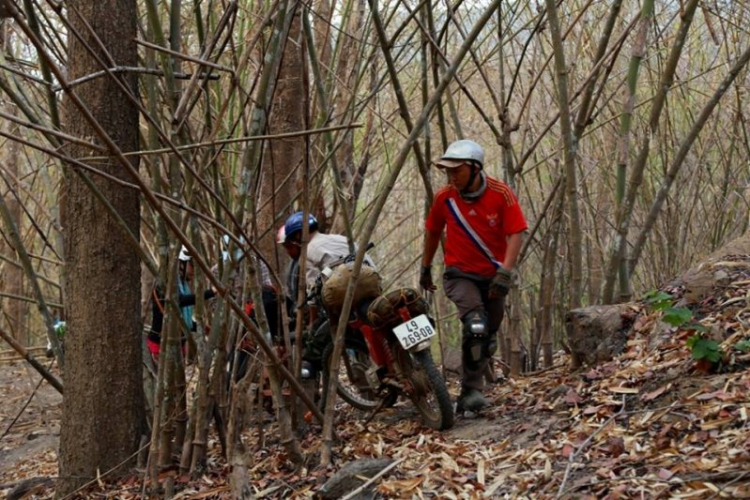 K'Tường khắc nghiệt rừng cao nguyên