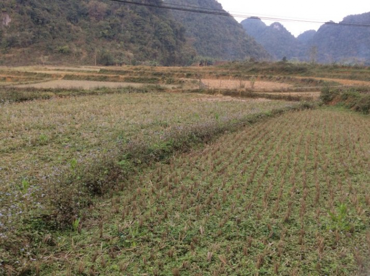 Nhật Ký Xuyên Việt Tết 2015 Nhật Ký Xuyên Việt Tết 2015