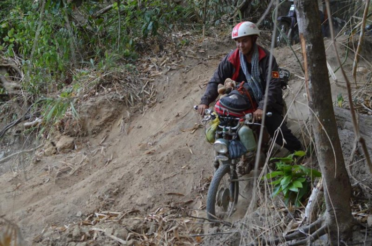 K'Tường khắc nghiệt rừng cao nguyên