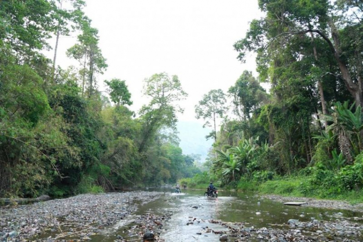 K'Tường khắc nghiệt rừng cao nguyên