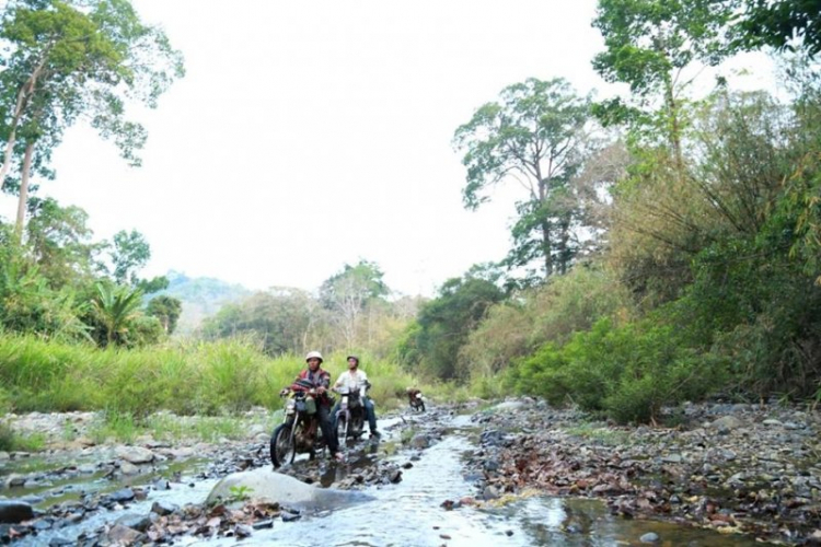 K'Tường khắc nghiệt rừng cao nguyên