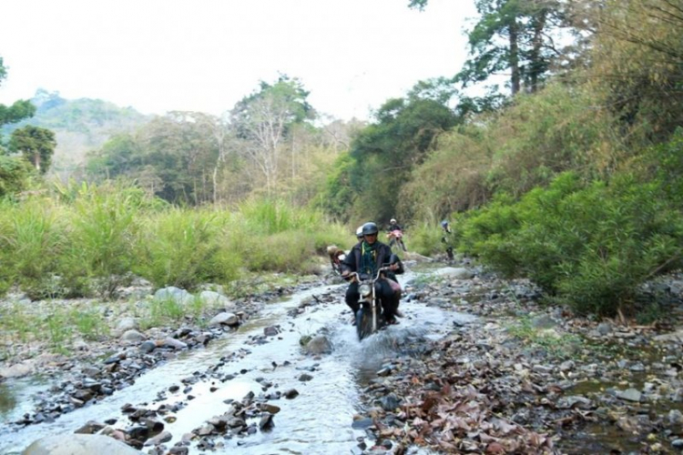 K'Tường khắc nghiệt rừng cao nguyên