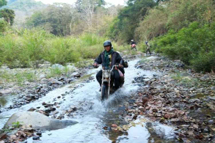 K'Tường khắc nghiệt rừng cao nguyên