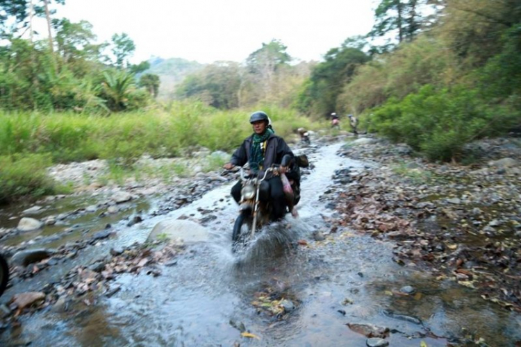 K'Tường khắc nghiệt rừng cao nguyên