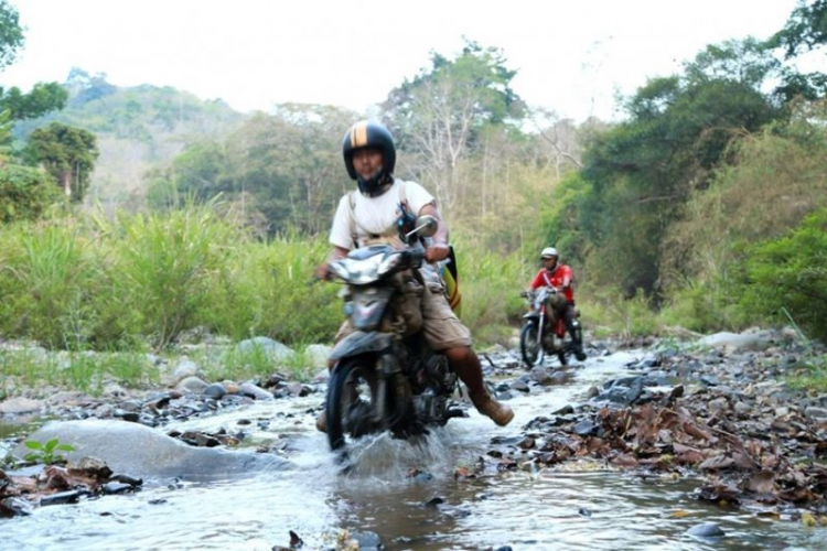 K'Tường khắc nghiệt rừng cao nguyên