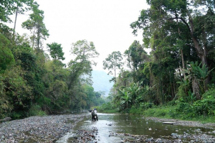 K'Tường khắc nghiệt rừng cao nguyên