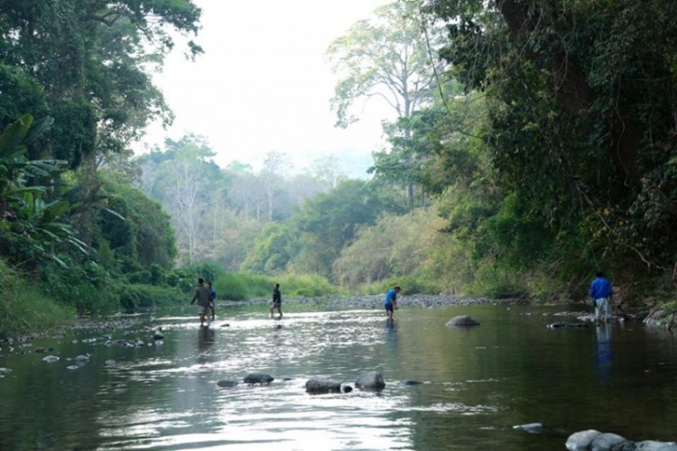 K'Tường khắc nghiệt rừng cao nguyên