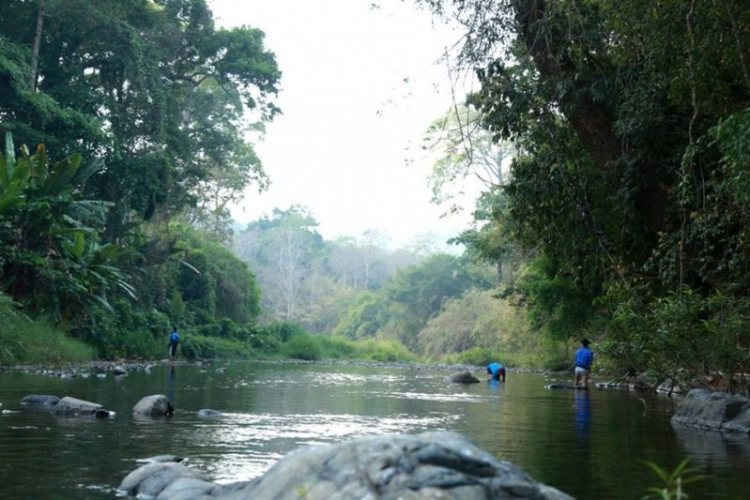 K'Tường khắc nghiệt rừng cao nguyên