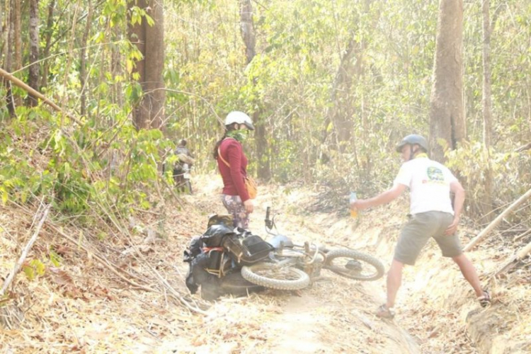K'Tường khắc nghiệt rừng cao nguyên K'Tường khắc nghiệt rừng cao nguyên