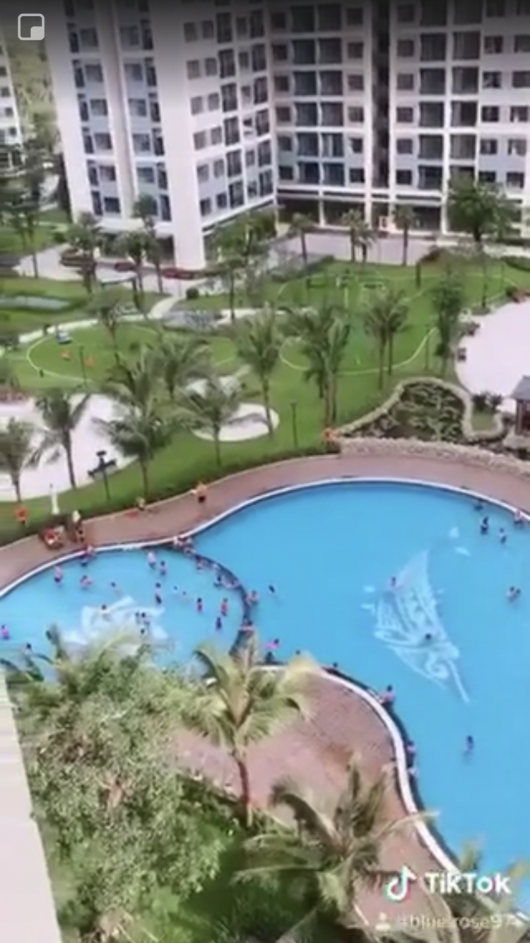 VINHOMES GRAND PARK QUẬN 9 LÀ CÁI “BẪY GẤU” CHO NHỮNG KHÁCH YÊU MÀU HỒNG! VINHOMES GRAND PARK QUẬN 9 LÀ CÁI “BẪY GẤU” CHO NHỮNG KHÁCH YÊU MÀU HỒNG!