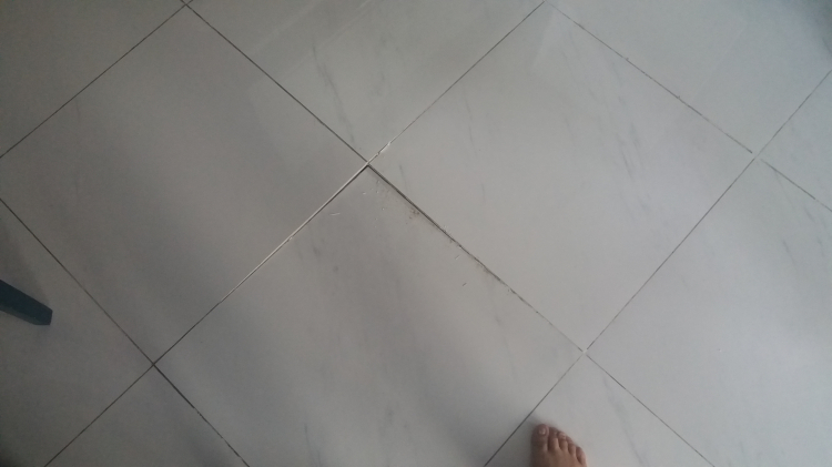 Sàn nhà tầng trệt bị bung gạch? Sàn nhà tầng trệt bị bung gạch?