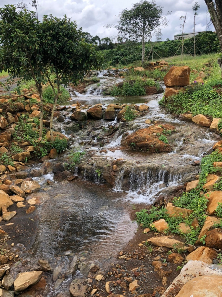 Thông tin xoay quanh BĐS Bảo Lộc.