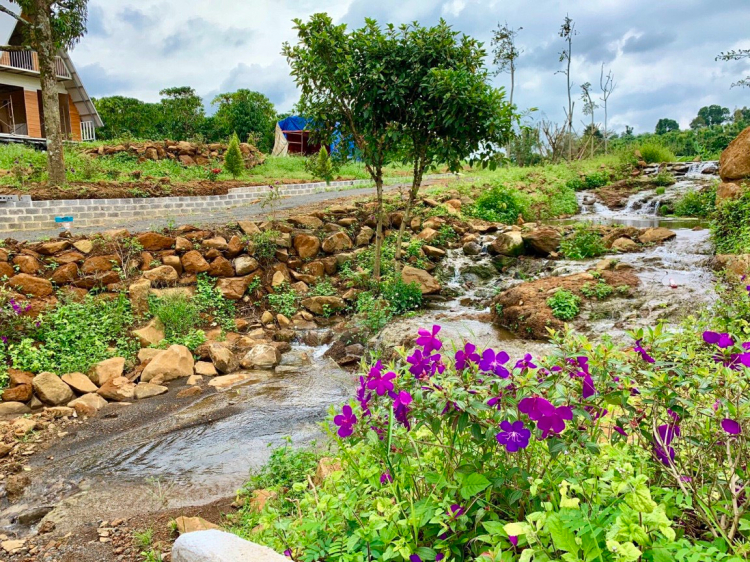 Thông tin xoay quanh BĐS Bảo Lộc.