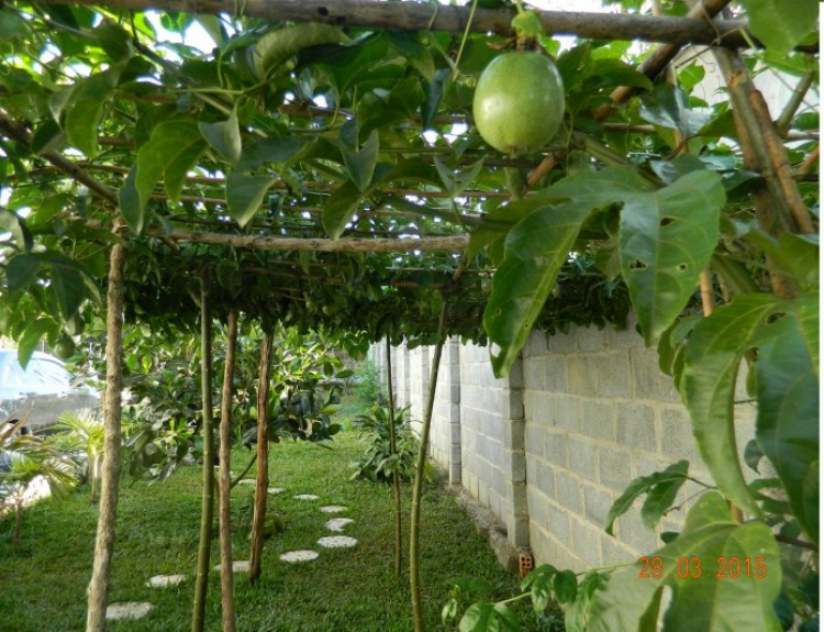 Câu Lạc Bô Camry (Đời 2007 trở lên) - Giao lưu, chia sẻ, tâm sự chuyện ngoài lề đầy văn hoá!!! Câu Lạc Bô Camry (Đời 2007 trở lên) - Giao lưu, chia sẻ, tâm sự chuyện ngoài lề đầy văn hoá!!!