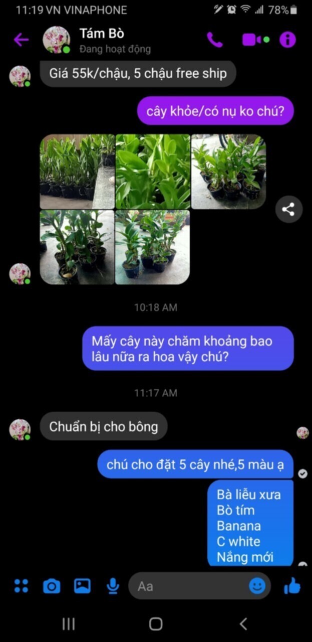 Bài học cho dân tập sự chơi lan mùa Covid19 và chơi cả hồng :P