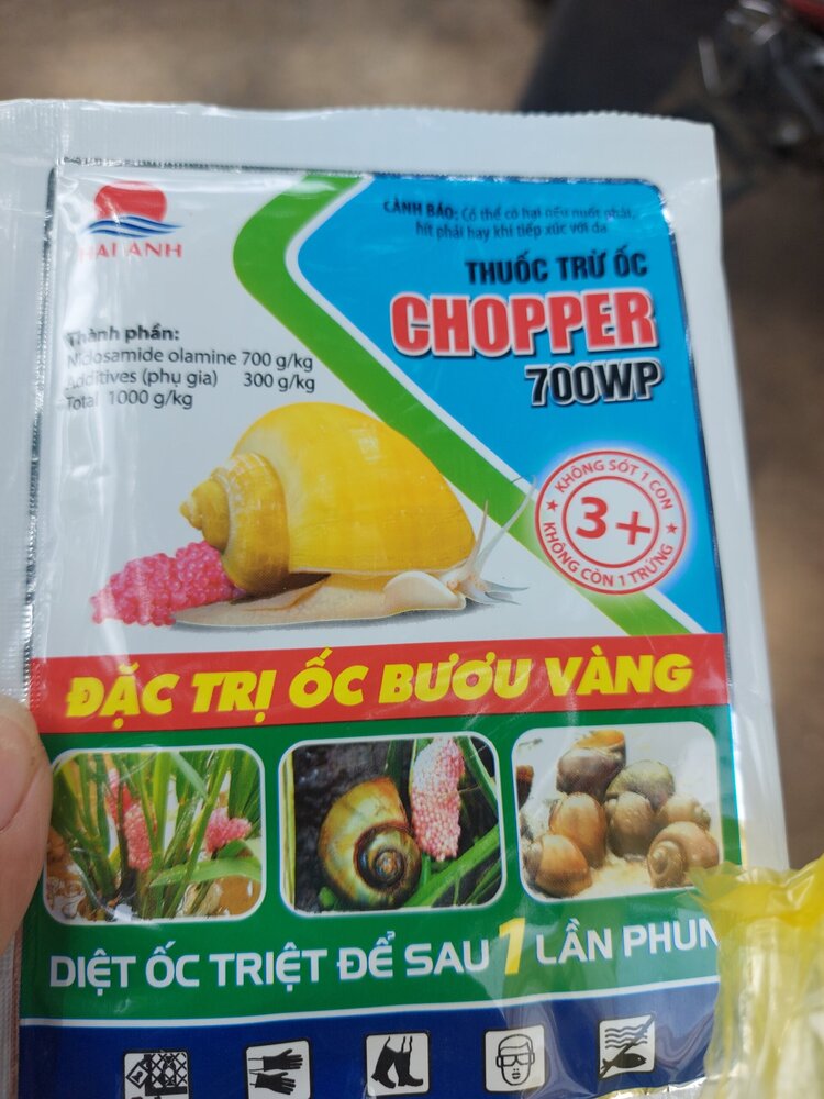 Bài học cho dân tập sự chơi lan mùa Covid19 và chơi cả hồng :P