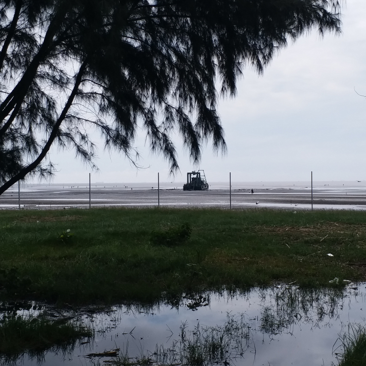 Cập nhật tình hình đất Huyện Cần Giờ Cập nhật tình hình đất Huyện Cần Giờ
