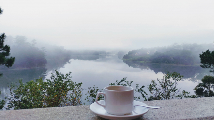 Tổng hợp các thớt về DALAT từ A đến Z Tổng hợp các thớt về DALAT từ A đến Z