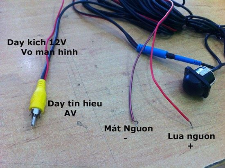 Toyota Vios cá vàng nổi, xe không hiển thị số N,D,R Toyota Vios cá vàng nổi, xe không hiển thị số N,D,R