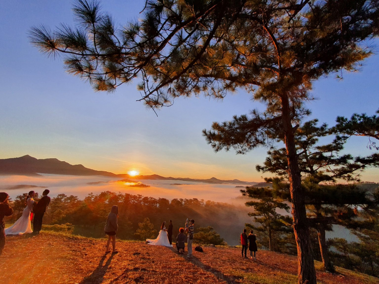 Tổng hợp các thớt về DALAT từ A đến Z Tổng hợp các thớt về DALAT từ A đến Z