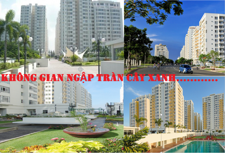 Hỏi về chung cư 2PN dưới 3 tỏi gần quận 1 càng tốt Hỏi về chung cư 2PN dưới 3 tỏi gần quận 1 càng tốt