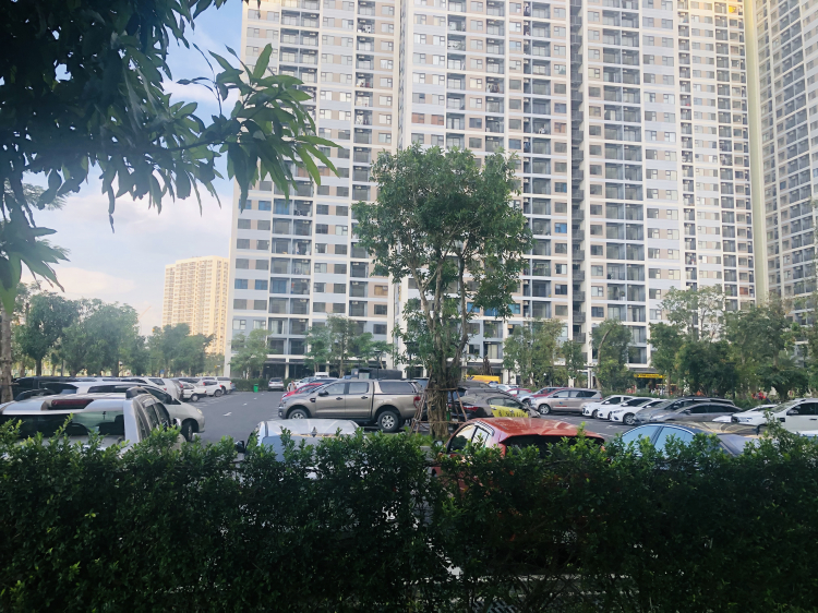 VINHOMES GRAND PARK QUẬN 9 LÀ CÁI “BẪY GẤU” CHO NHỮNG KHÁCH YÊU MÀU HỒNG!