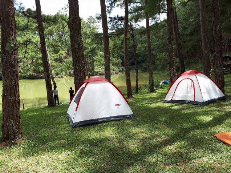 Địa điểm camping Đà Lạt? Suối Vàng?