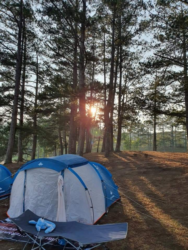 Địa điểm camping Đà Lạt? Suối Vàng?