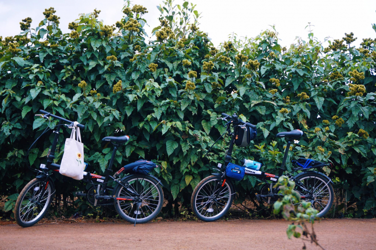 Đạp xe du lịch Hồ Tà Nùng - Đắk Nông, miền đất yên bình của người M Nông