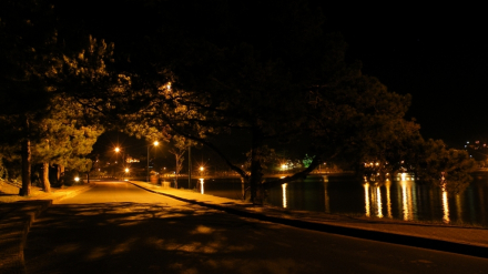 dem da lat.jpg