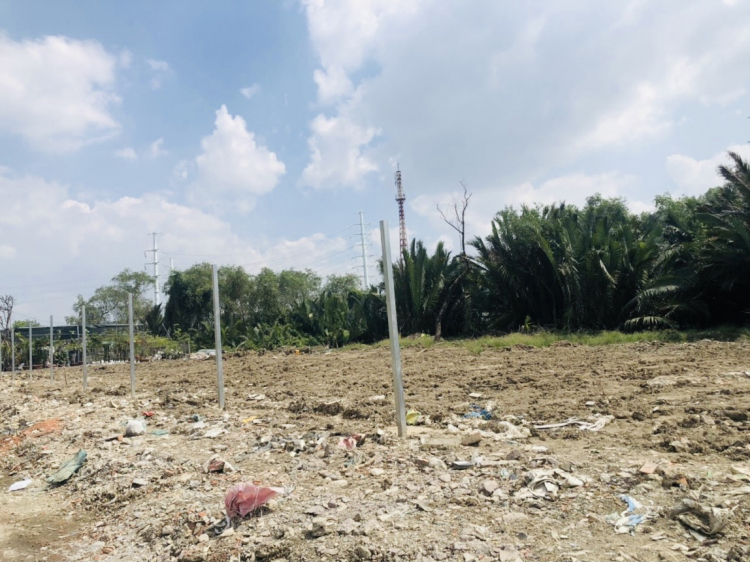 Eco Green Sài Gòn quận 7 Eco Green Sài Gòn quận 7