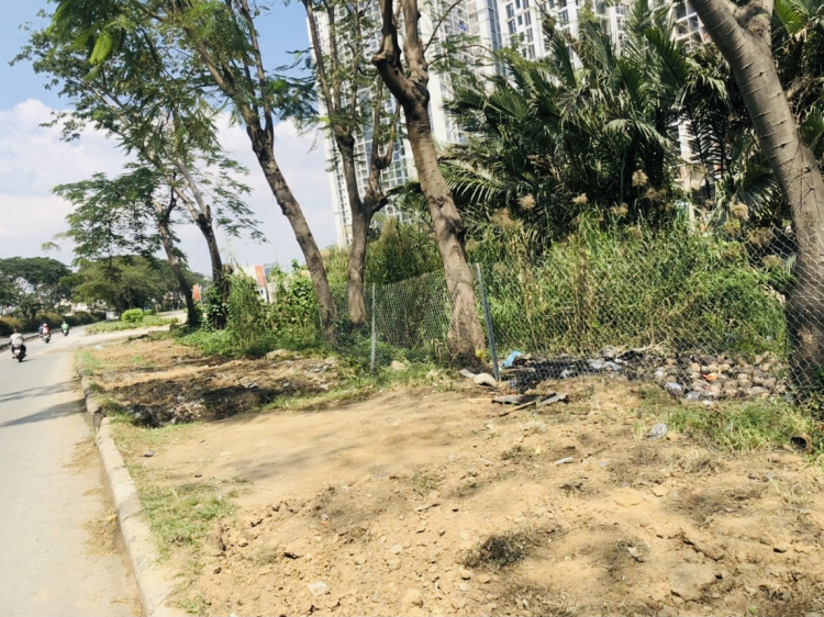 Eco Green Sài Gòn quận 7 Eco Green Sài Gòn quận 7