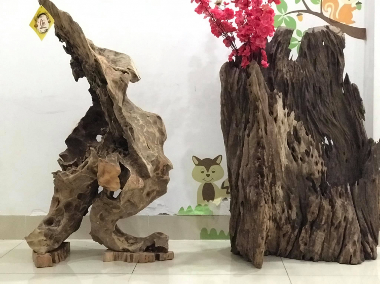 Bằng lăng tím lá nhỏ - bonsai cây cảnh